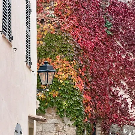 Apartamento Charming 1br With Balcony & Ac, Heart Of